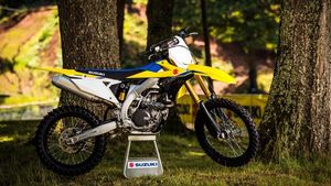 Supporting image for story