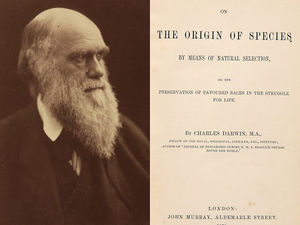 Supporting image for story: Rare first edition of Darwin’s scientific masterpiece auctions for £162,500
