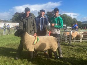 Supreme Champion -  Mr Davies from Llanfechan with a Suffolk Ram