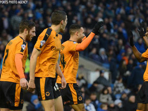 Supporting image for story: Brighton 0 Wolves 1 - Report and pictures