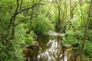 River Marteg. Credit Silvia Sivers