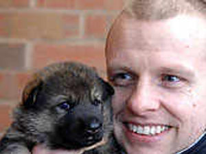 Supporting image for story: Cuddly pups set to paw the beat