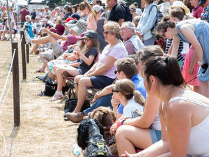 Supporting image for story: Community VIPs wanted for Newport Show