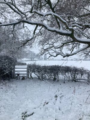 Snow around Ellesmere this morning