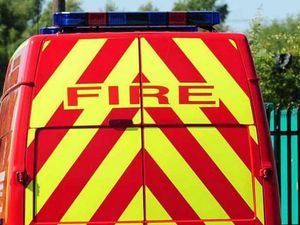 Supporting image for story: Dog rescued from kitchen fire