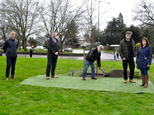 Supporting image for story: Oak tree planted in memory of former teacher and ‘proud Salopian’ Percy