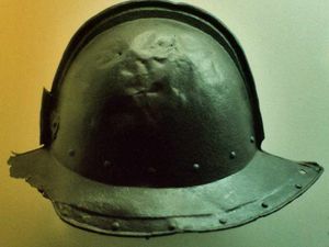 Supporting image for story: Picnic pictures