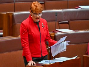 Supporting image for story: Australian senator told she broke race law in Twitter comment