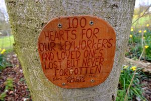 Someone has set up a trail of 100 wooden hearts