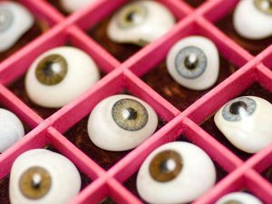 Supporting image for story: The eyes have it: Pilot trial tests stem cell treatment for sight loss