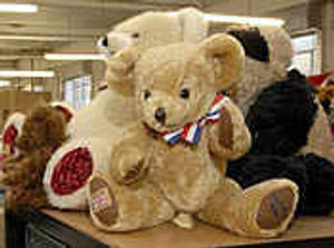 Supporting image for story: Frenzy for Merrythought bears