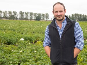 Supporting image for story: Fighting back against potato pest