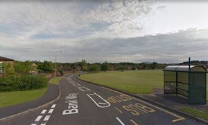 Supporting image for story