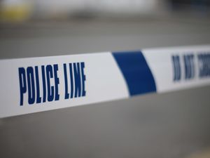 Supporting image for story: Police investigate footage of naked man in mask walking streets at night