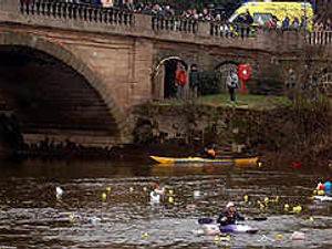 Supporting image for story: Duck race goes swimmingly
