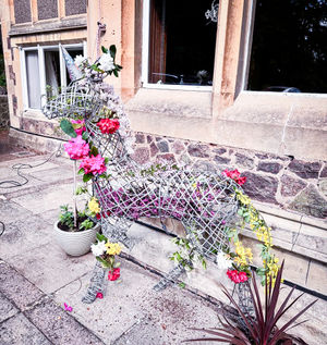 One of the many Mystical displays which are part of Friends of the Elderly's Silver Award Winning Entry