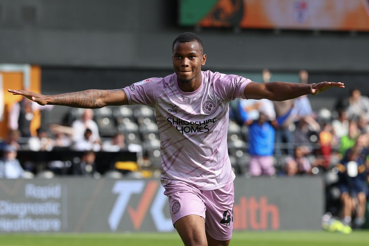 Michael Appleton: Bradley Ihionvien is giving Shrewsbury something different