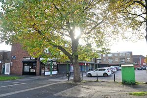 The area carries a leafy feeling in places