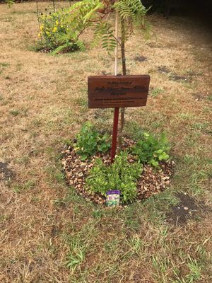 The tree and plaque