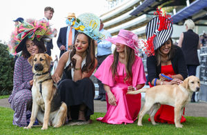 Guide dog puppies interact with racegoers wearing big hats at Ascot Racecourse, as part of their socialisation training to become comfortable around unusual headwear. Research from charity Guide Dogs reveals that dogs can be afraid of hats or objects on people’s heads, as they can make it harder for them to recognise even familiar individuals