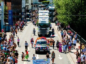 Supporting image for story: Shrewsbury Carnival 2018: Where to watch this year's parade
