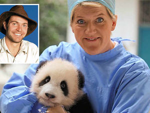 Supporting image for story: Shropshire celebrity vet Steve Leonard goes wild in new TV series