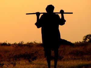 Supporting image for story: New study suggests South Asia could become too hot to live in by 2100