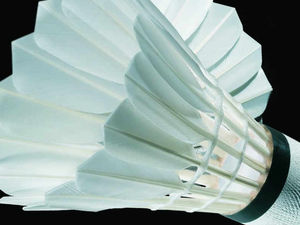 Supporting image for story: Network looking for a net gain