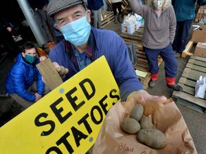 Supporting image for story: Potato Day organisers cooking up a return