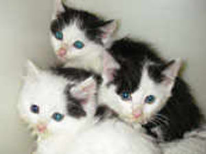 Supporting image for story: The week in pictures