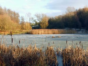Supporting image for story: Dog walker who tried to save pet from frozen pool thanks rescuers after lifebuoy boxes found empty