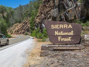 Supporting image for story: Boy, four, who disappeared from camp found safe after 22 hours in wilderness