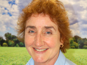 Supporting image for story: Balancing profitable farming with environmental protection