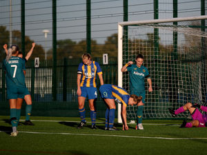 Supporting image for story: Spirited Shrewsbury earn salute following FA Cup exit