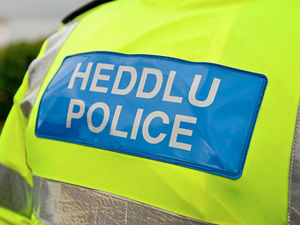 Supporting image for story: Drivers pulled over in police operation 