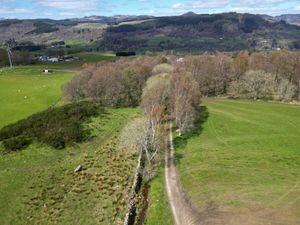 Supporting image for story: Man accused of gun murder of dog walker to face trial next year