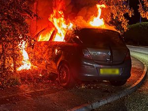 Supporting image for story: Dramatic pictures after car hits tree and bursts into flames near Market Drayton