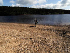 Supporting image for story: Ignore winter – the spring's the thing