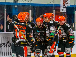 Supporting image for story: Telford Tigers flattered as they hit the goal trail to sting Bees