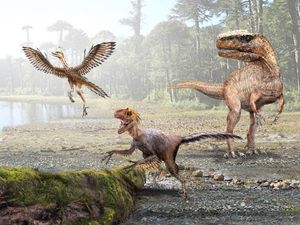 Supporting image for story: ‘Shrinking’ dinosaurs allowed birds to evolve as warm-blooded creatures – study