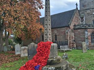 Supporting image for story: WI members keep poppy tribute alive in Trysull
