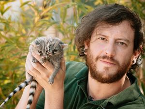 Supporting image for story: 'Make or break' time for zoos anxiously awaiting Government funding