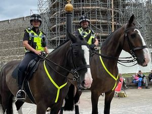 Supporting image for story: Police using specially-trained horses for first time in two decades at football matches