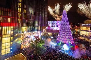 Supporting image for story: Christmas in Liverpool - travel review