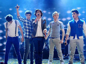 Supporting image for story: One Direction give their fans a year to remember