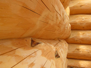 Supporting image for story: 80 join fight against log cabins in woods