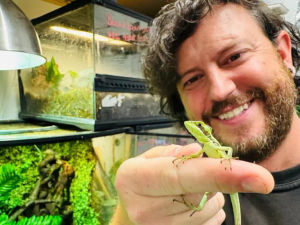 Supporting image for story: Owner stunned after 'one of the rarest events in the animal kingdom' occurred at Telford Exotic Zoo