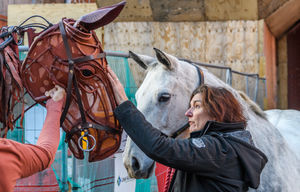 Silver meets Joey with Hippodrome Chief Executive and Artistic Director, Fiona Allan