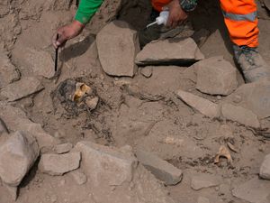 Supporting image for story: Archaeologists find mummy covered in coca leaves and bound with rope