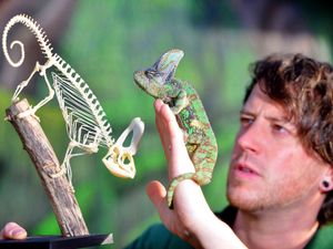 Supporting image for story: Wild year ahead for new Telford zoo